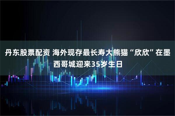 丹东股票配资 海外现存最长寿大熊猫“欣欣”在墨西哥城迎来35岁生日