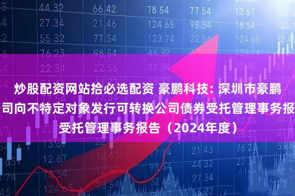 炒股配资网站拾必选配资 豪鹏科技: 深圳市豪鹏科技股份有限公司向不特定对象发行可转换公司债券受托管理事务报告（2024年度）